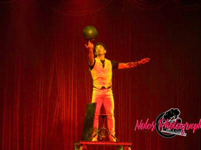 Cirque-Duluxe-at-Lee-County-Fairgrounds-8600